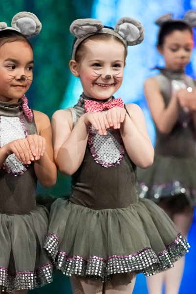 Professional Level Ballet Classes