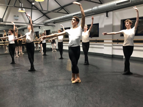 Professional Level Ballet Classes