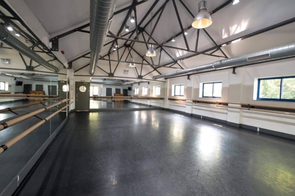Professional Level Ballet Classes