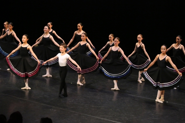 Professional Level Ballet Classes