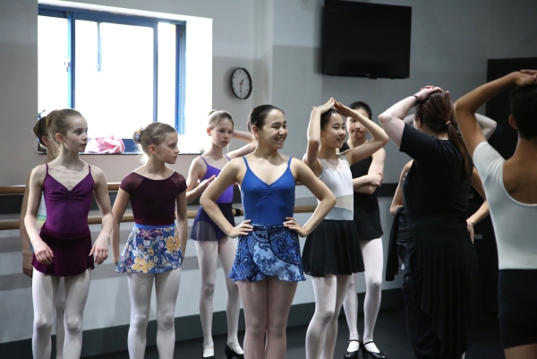 Professional Level Ballet Lessons