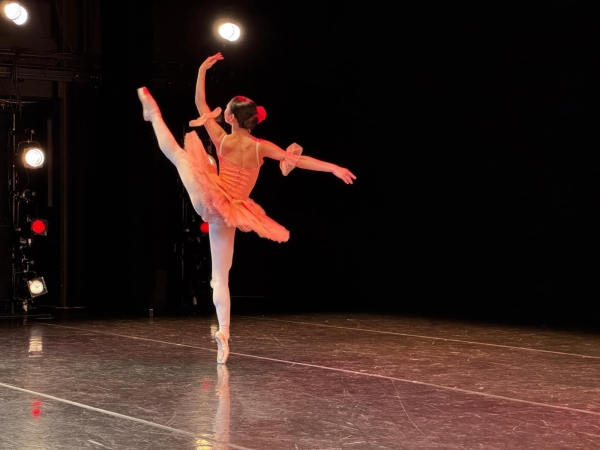 Adult Ballet Lessons
