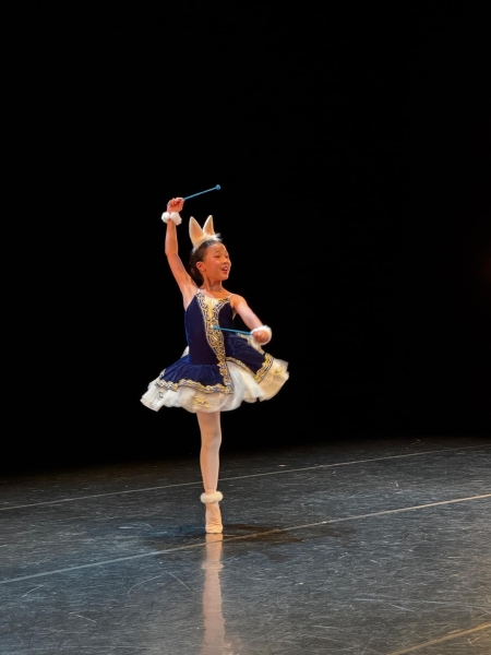 Professional Level Ballet Lessons