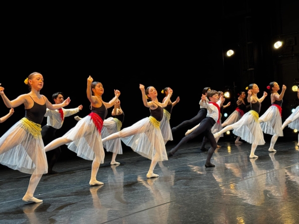 Professional Level Ballet Classes