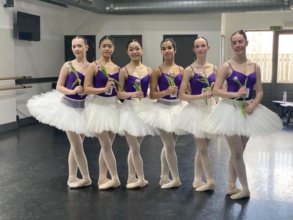 Professional Level Ballet Classes