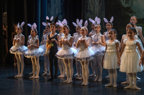 Adult Ballet Classes
