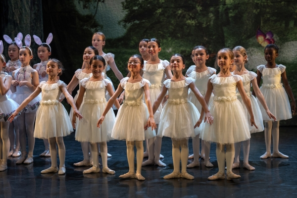 Professional Level Ballet Classes