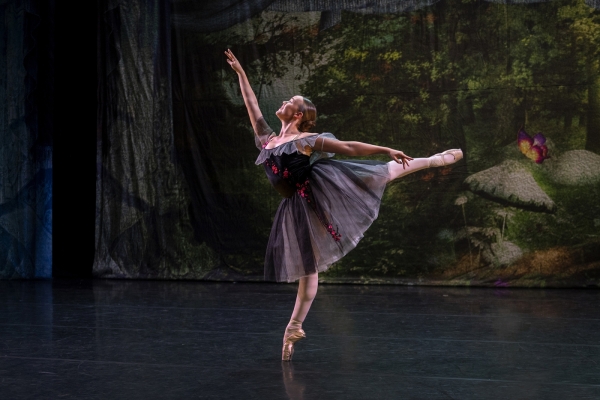 Junior Ballet Lessons