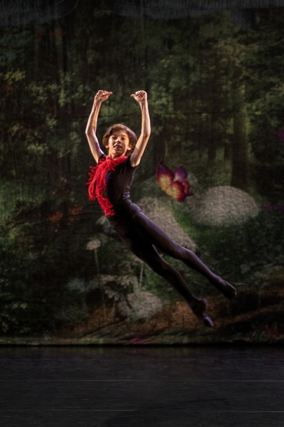 Adult Ballet Lessons