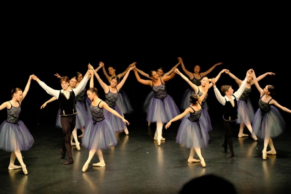 Professional Level Ballet Classes