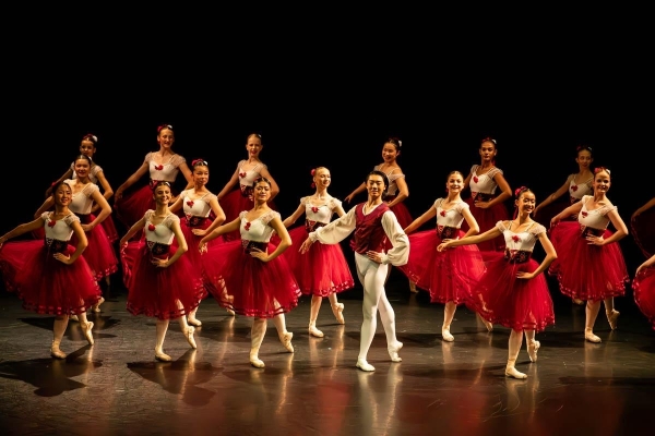 Professional Level Ballet Classes